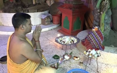 দেবীর বোধনের মধ্যে দিয়ে দুর্গোৎসবের শুরু
