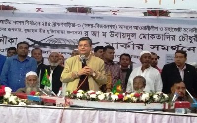 দেশে নৌকার গণজোয়ার সৃষ্টি হয়েছে- মোকতাদির চৌধুরী