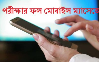 যেভাবে মোবাইলে জানা যাবে জেএসসি-পিইসির ফল