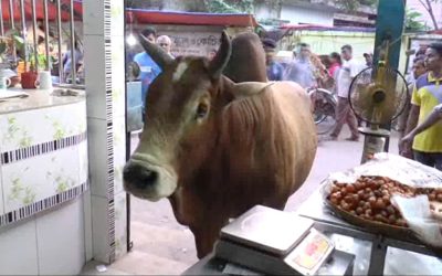 অমানবিক: মহাদেবকে হত্যা করল কে? (ভিডিও সহ)