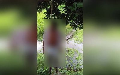ছেলে ধর্ষনের পর হত্যা করল শ্যালিকাকে, গ্লানিতে বাবার আত্মহত্যা