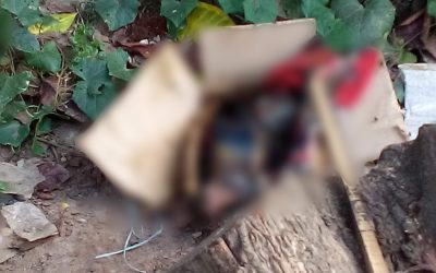 মেড্ডায় বাক্সে মিলল নবজাতকের মরদেহ
