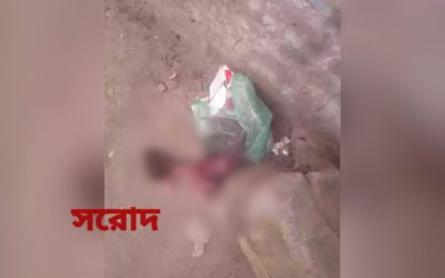 পলিথিনে নবজাতকের লাশ, রাতভর পিঁষেছে গাড়ি
