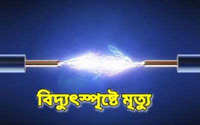 নাসিরনগরে বাঁশের পাতা কাটতে গিয়ে বিদ্যুৎস্পৃষ্টে কৃষকের মৃত্যু