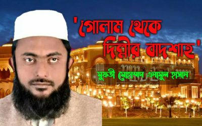 ‘গোলাম থেকে দিল্লীর বাদশাহ’