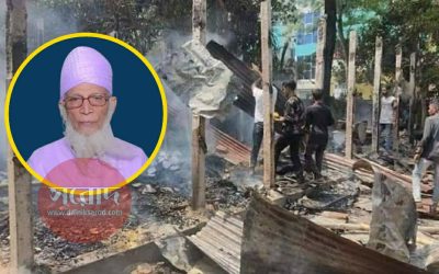 অবসরপ্রাপ্ত শিক্ষক ওয়ালি হোসেনের দোষ কি ছিল?