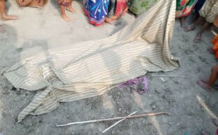 নাসিরনগরে পাগলা কুকুরের দল কামড়ে প্রাণ কেড়ে নিলো নারীর
