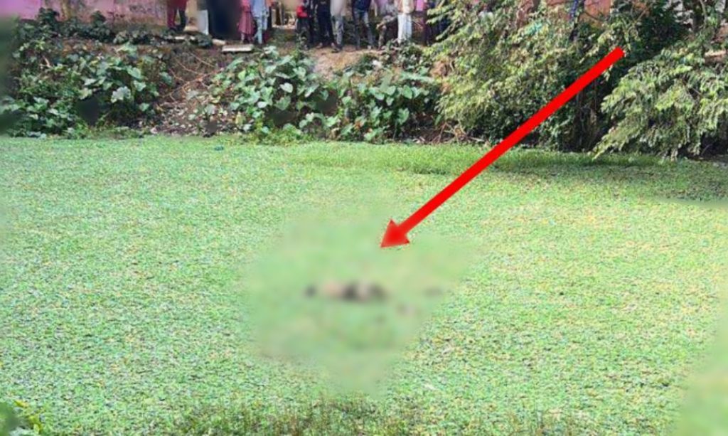 আখাউড়ায় পরিত্যক্ত ডোবায় ভাসছিল মরদেহ