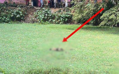 আখাউড়ায় পরিত্যক্ত ডোবায় ভাসছিল মরদেহ