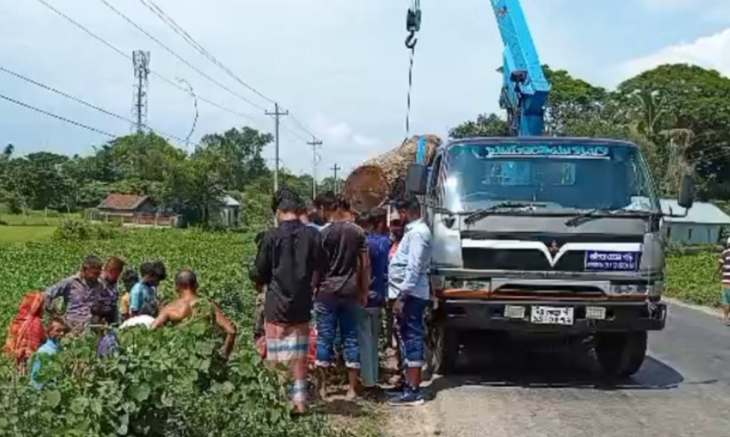 কসবায় ক্রেনে কাটা গাছ তুলতে গিয়ে বিদ্যুৎস্পৃষ্ট, প্রাণ গেল ড্রাইভার-হেলপারের