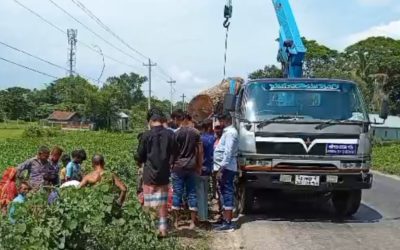 কসবায় ক্রেনে কাটা গাছ তুলতে গিয়ে বিদ্যুৎস্পৃষ্ট, প্রাণ গেল ড্রাইভার-হেলপারের