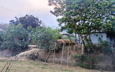 প্রতিবেশীর বসত ঘরে  হামলা, অভিযোগের ৪ দিন পরও উদ্যোগ নেই পুলিশের