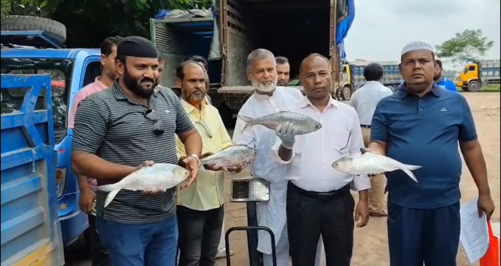 আখাউড়া স্থলবন্দর দিয়ে ভারত গেল ১২শ’ কেজি ইলিশ