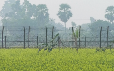 সীমান্তে নজরদারি বাড়িয়েছে বাংলাদেশ