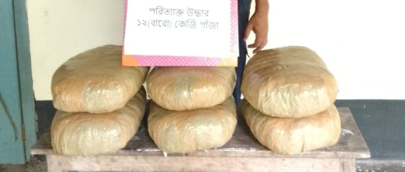 ট্রেনের ছাদে লুকিয়ে রাখা স্কুল ব্যাগে মিললো গাঁজা