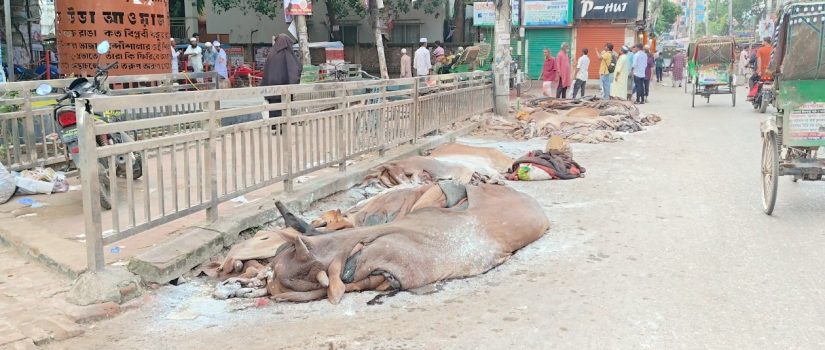 ক্রেতা না থাকায় সড়কের পাশে শত শত চামড়া ফেলে গেছেন ব্যবসায়ীরা