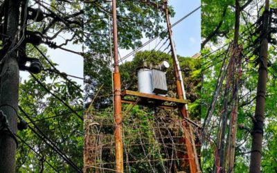 ব্রাহ্মণবাড়িয়ায় চুরির হিড়িক, দিশেহারা মানুষ