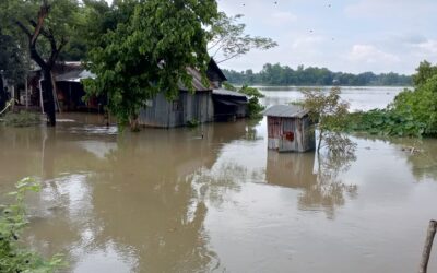 আখাউড়ায় পাহাড়ি ঢলে প্লাবিত নিম্নাঞ্চল, বন্যার শঙ্কা