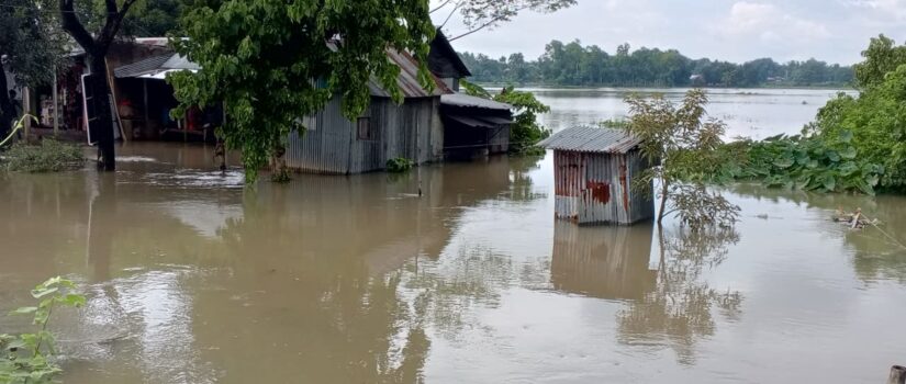 আখাউড়ায় পাহাড়ি ঢলে প্লাবিত নিম্নাঞ্চল, বন্যার শঙ্কা