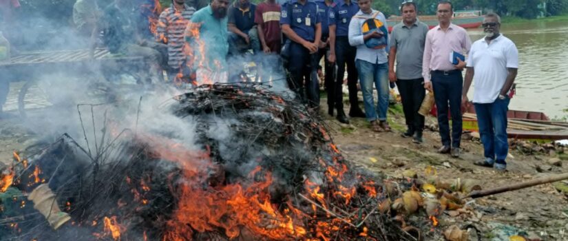 তিতাস নদী ও বিলে অবৈধ জালবিরোধী অভিযানে নিষিদ্ধ জাল জব্দ ও ধ্বংস