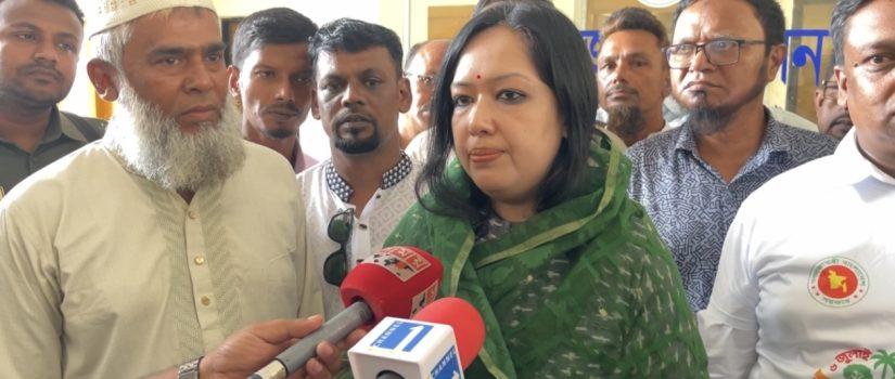 শেখ হাসিনার দেশে ফিরতে আইনগত কোনো বাধা নেই: রুমিন ফারহানা
