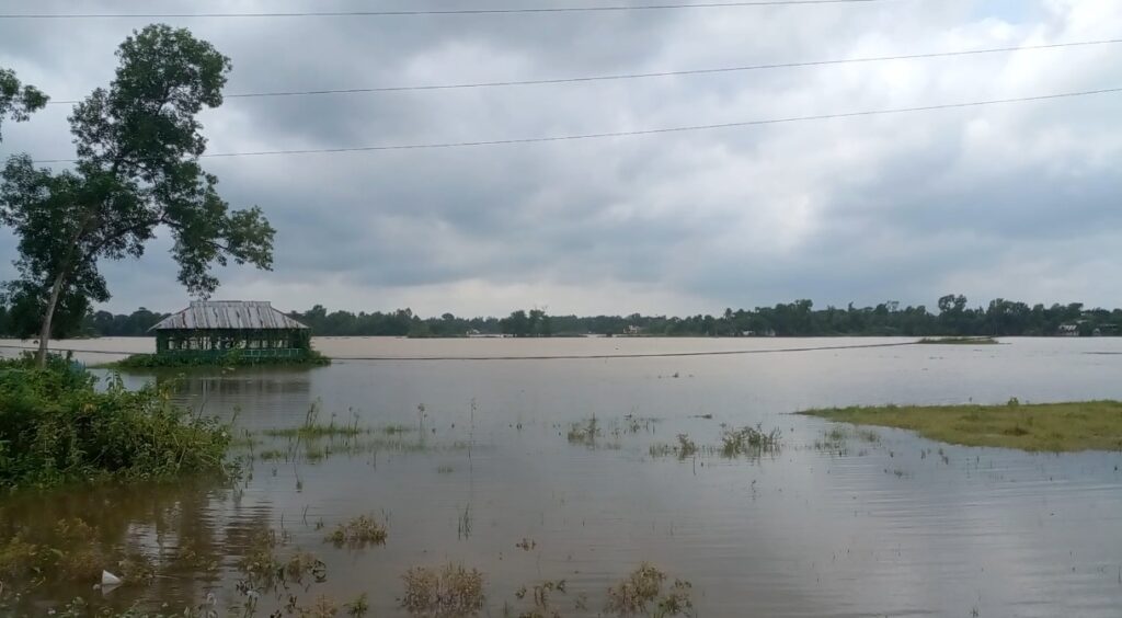 আখাউড়ায় উজানের ঢলের পানিতে তলিয়ে গেছে ২৫০ হেক্টর ফসলি জমি