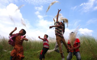 প্রকৃতিতে উঁকি দিচ্ছে শরতের শুভ্র সৌন্দর্য
