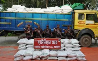 ব্রাহ্মণবাড়িয়ায় ভারতে পাচার চেষ্টাকালে ২৪ টন সার উদ্ধার