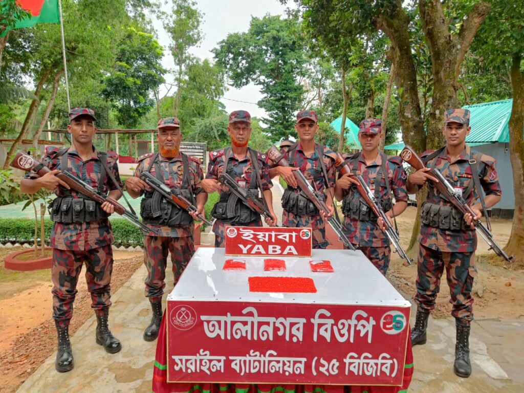 ভারত থেকে ঘাসের ঝুড়িতে করে ২০ হাজার পিস ইয়াবা নিয়ে ফিরছিল চোরাকারবারি, ধরল বিজিবি