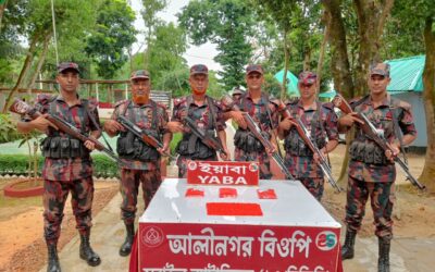 ভারত থেকে ঘাসের ঝুড়িতে করে ২০ হাজার পিস ইয়াবা নিয়ে ফিরছিল চোরাকারবারি, ধরল বিজিবি