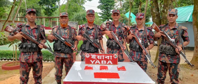 ভারত থেকে ঘাসের ঝুড়িতে করে ২০ হাজার পিস ইয়াবা নিয়ে ফিরছিল চোরাকারবারি, ধরল বিজিবি