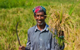 প্রায় সাড়ে ১৪ লাখ কৃষকের সুদসহ ঋণ পরিশোধ করেছে সরকার