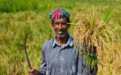 প্রায় সাড়ে ১৪ লাখ কৃষকের সুদসহ ঋণ পরিশোধ করেছে সরকার