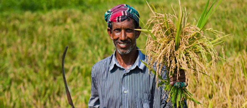 প্রায় সাড়ে ১৪ লাখ কৃষকের সুদসহ ঋণ পরিশোধ করেছে সরকার
