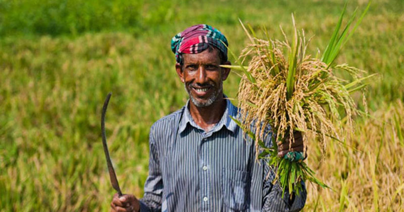 প্রায় সাড়ে ১৪ লাখ কৃষকের সুদসহ ঋণ পরিশোধ করেছে সরকার