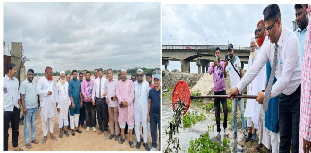 সরাইলে বিএনপির প্রতিষ্ঠাবার্ষিকী উপলক্ষে তিতাস নদীতে পোনামাছ অবমুক্তকরণ