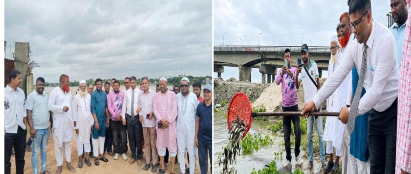 সরাইলে বিএনপির প্রতিষ্ঠাবার্ষিকী উপলক্ষে তিতাস নদীতে পোনামাছ অবমুক্তকরণ