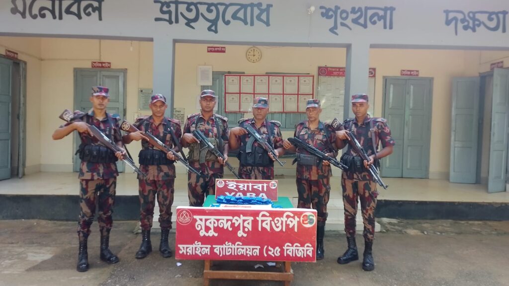 বিজয়নগরে ১০ হাজার পিস ভারতীয় ইয়াবা উদ্ধার