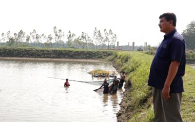 বিষমুক্ত মাছ উৎপাদনে স্বপ্নপুরী ফিসারি