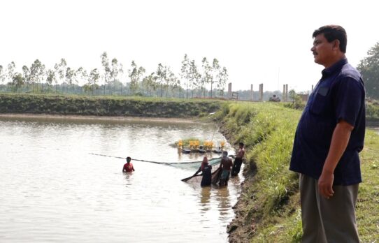 বিষমুক্ত মাছ উৎপাদনে স্বপ্নপুরী ফিসারি