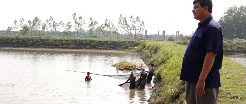 বিষমুক্ত মাছ উৎপাদনে স্বপ্নপুরী ফিসারি