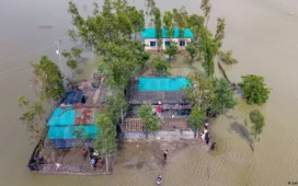 দেশের ৪৭ দশমিক ৪২ শতাংশ পরিবার ঋণগ্রস্ত