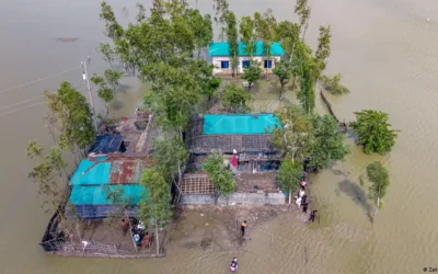 দেশের ৪৭ দশমিক ৪২ শতাংশ পরিবার ঋণগ্রস্ত