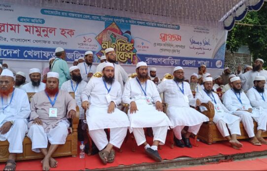 গণভোটের রায়কে উপেক্ষা করে বিএনপি দেশের মানুষের সাথে গাদ্দারি করেছে: মামুনুল হক